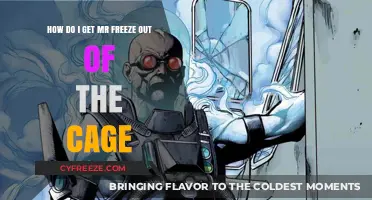 Escaping Mr. Freeze's Cage: A Step-by-Step Guide to Freedom