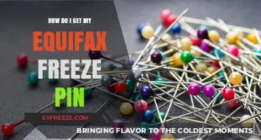Secure Your Credit: Steps to Retrieve Your Equifax Freeze PIN
