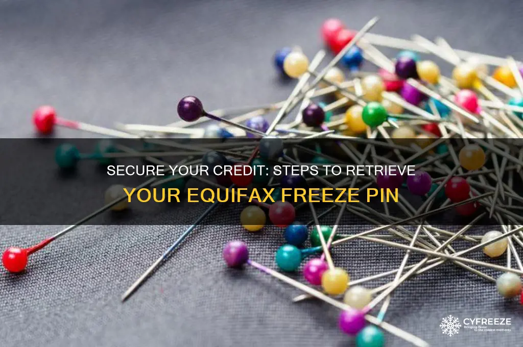 how do i get my equifax freeze pin
