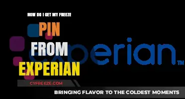 How to Obtain Your Experian Freeze PIN: A Step-by-Step Guide