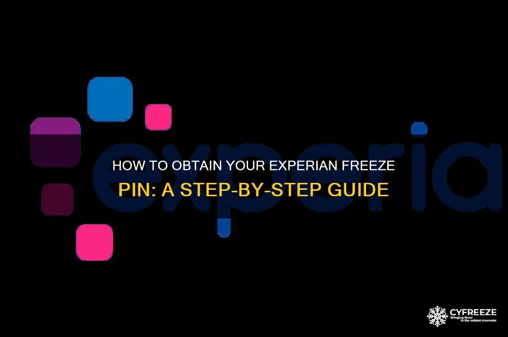 how do i get my freeze pin from experian