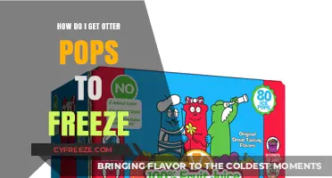 Quick Tips for Perfectly Frozen Otter Pops Every Time