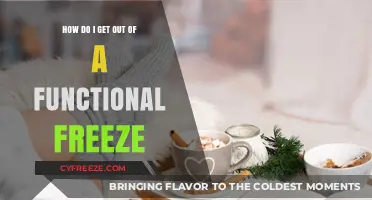 Breaking Free from Functional Freeze: Strategies to Regain Control and Move Forward