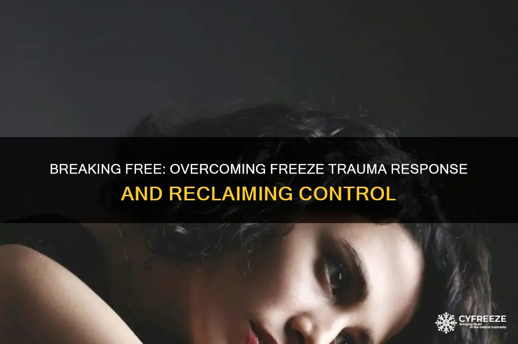 how do i get out of freeze trauma response