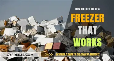 Efficient Ways to Dispose of a Working Freezer Responsibly