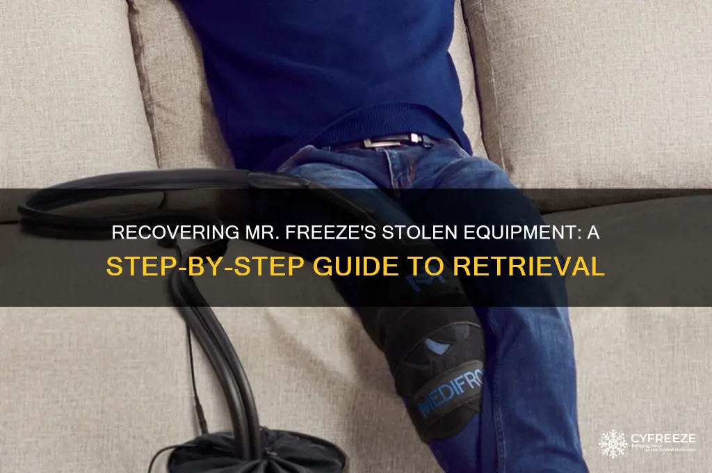 how do i get to mr freeze