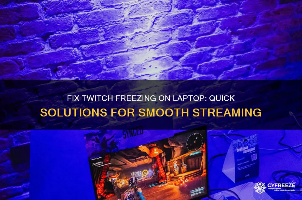 how do i get twitch to stop freezing on laptop