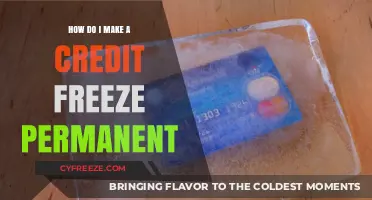Securing Your Financial Identity: A Guide to Permanent Credit Freezes