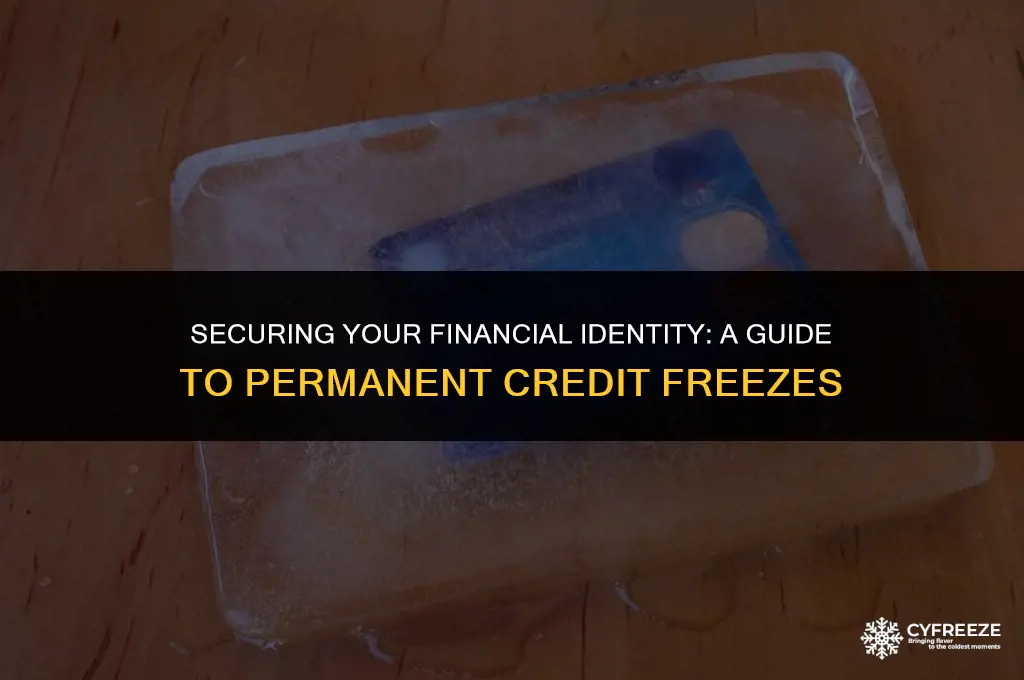 how do i make a credit freeze permanent