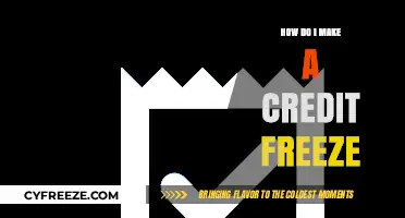 Securing Your Credit: A Step-by-Step Guide to Freezing Your Credit Report