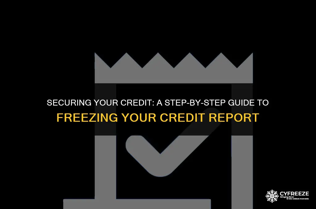 how do i make a credit freeze