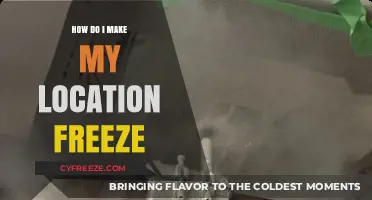 Mastering the Art of Location Freeze: A Comprehensive Guide