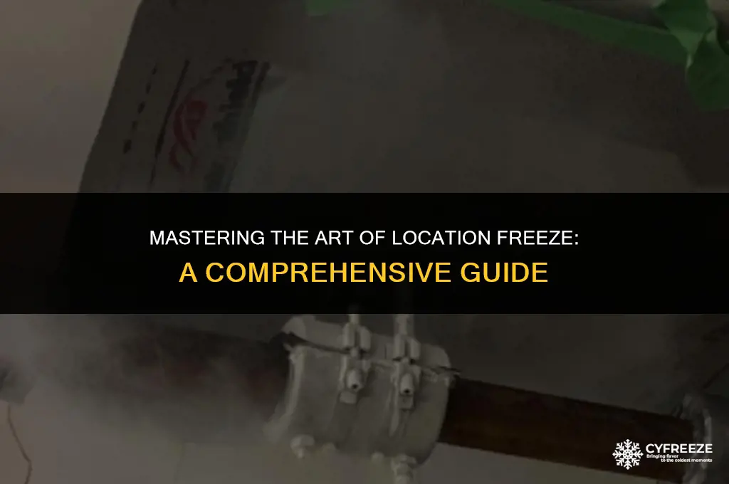 how do i make my location freeze