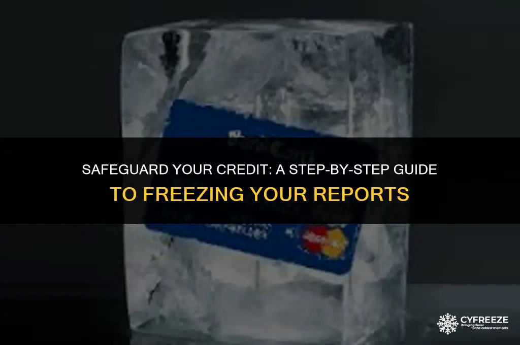 how do i put a freeze on my credit reports