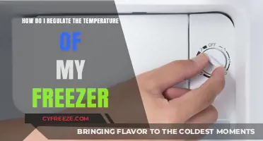 Mastering Freezer Temperature Control: Simple Tips for Optimal Food Storage
