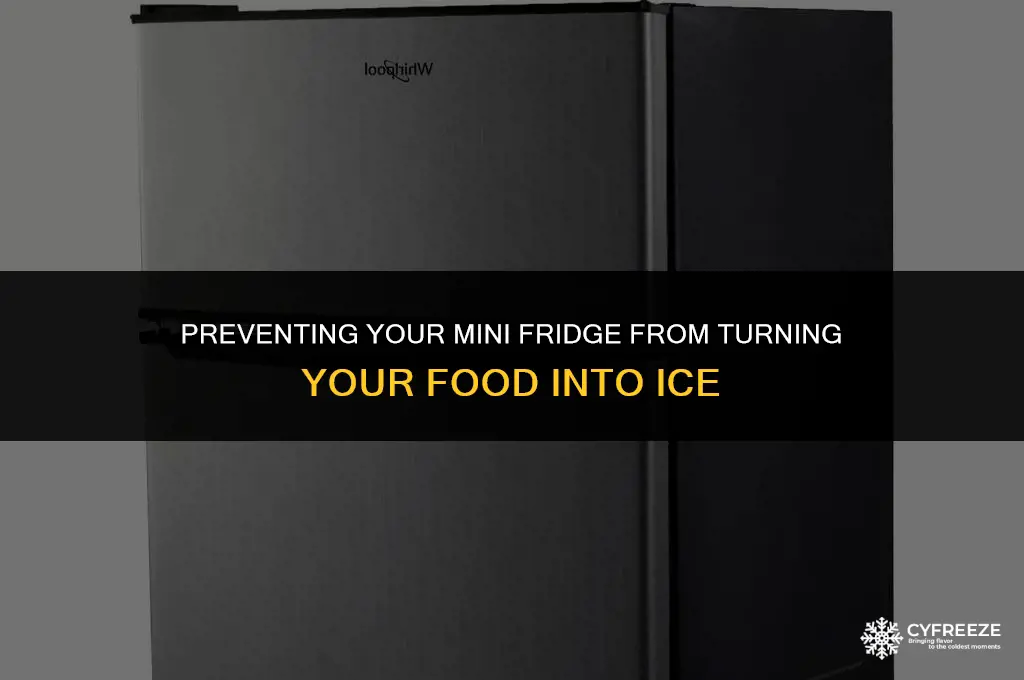 how do i stop my mini fridge from freezing everything