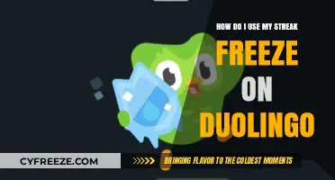 Mastering Duolingo: How to Use Your Streak Freeze Effectively