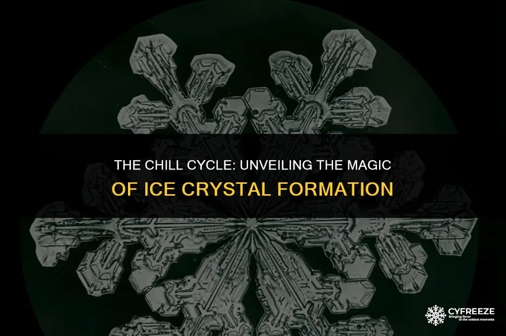 how do ice crystals form in the freezer