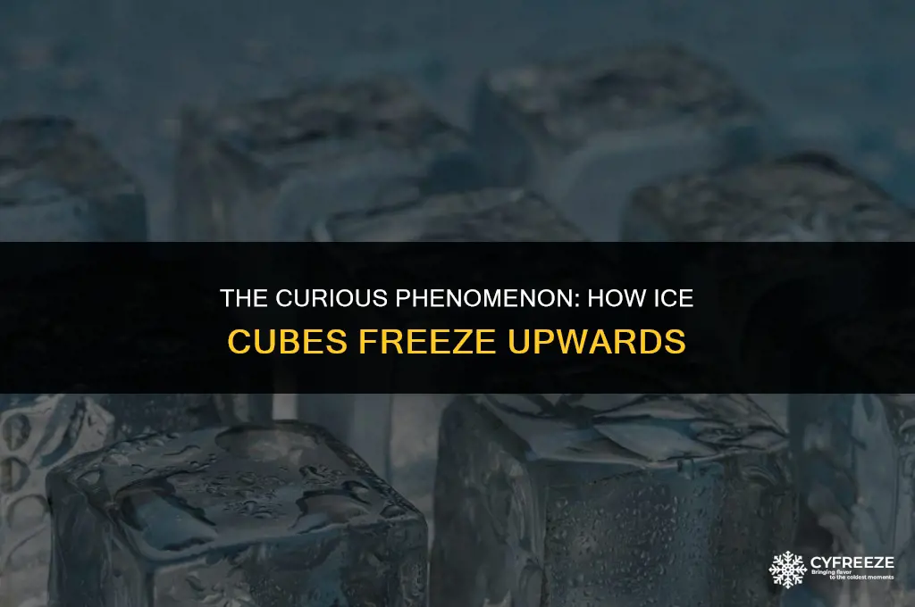 how do ice cubes freeze upwards