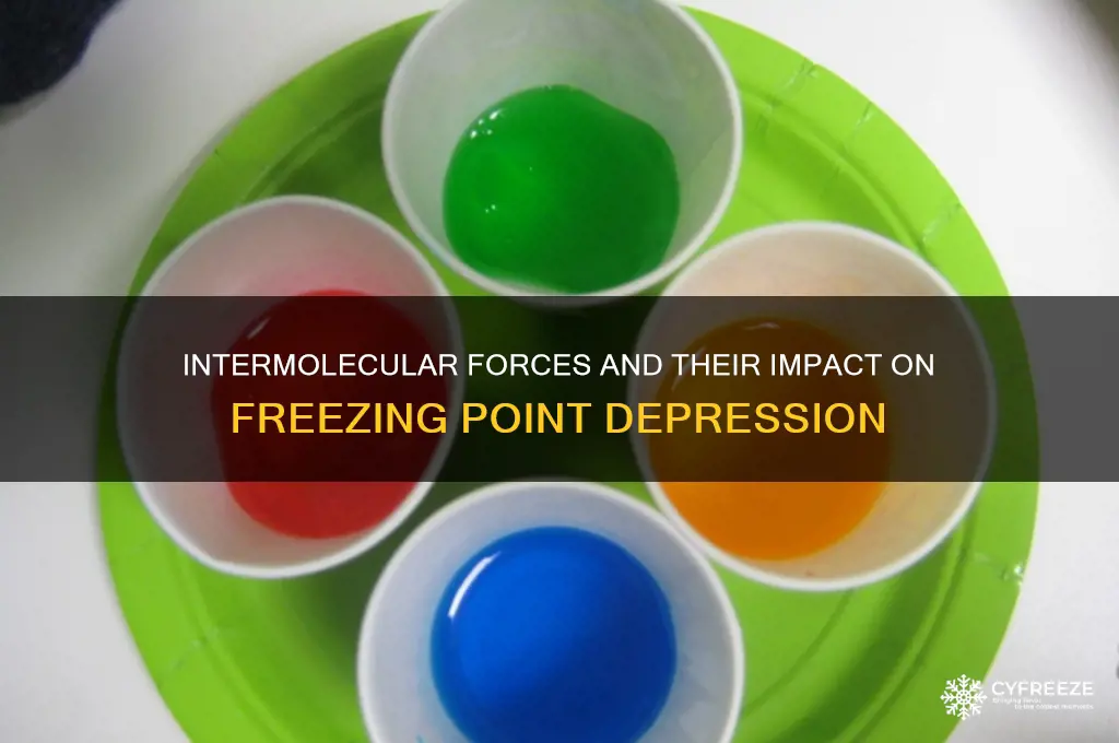 how do intermolecular forces affect freezing point depression