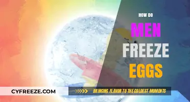 Men and Fertility Preservation: Understanding the Egg Freezing Process