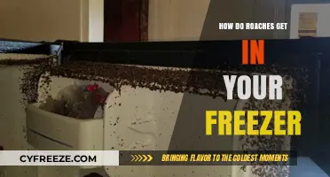 Unwanted Guests: How Roaches Sneak into Your Freezer and Solutions