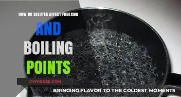 Solute Impact: Freezing and Boiling Point Changes Explained