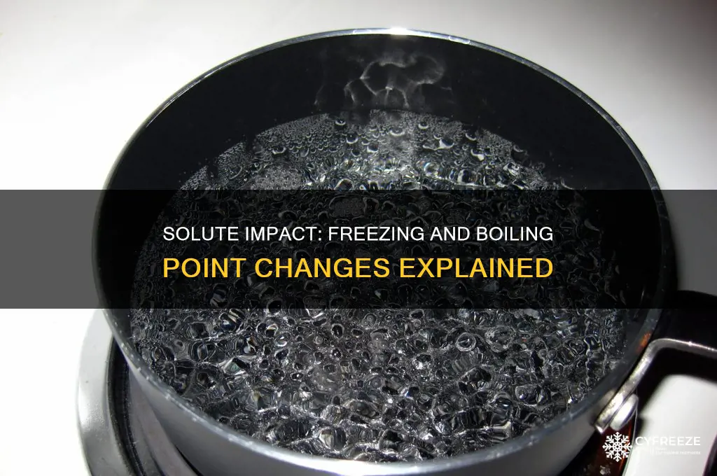 how do solutes affect freezing and boiling points