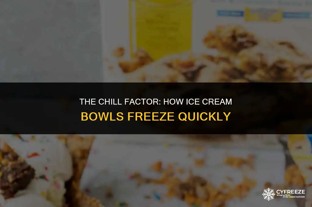 how do the ice cream bowl freeze