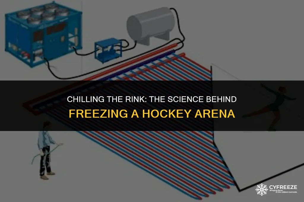 how do they freeze the ice in a hockey rink