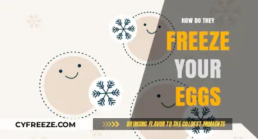 Understanding the Egg Freezing Process: A Comprehensive Guide for Women