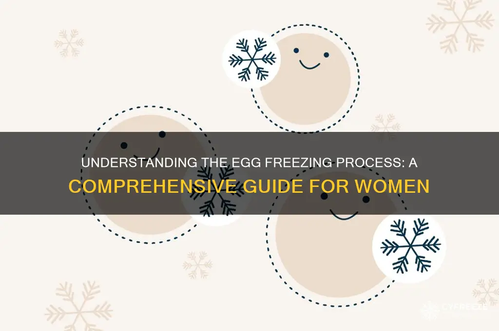 how do they freeze your eggs