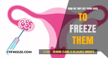 Egg Freezing Process: How Are Eggs Retrieved and Preserved?