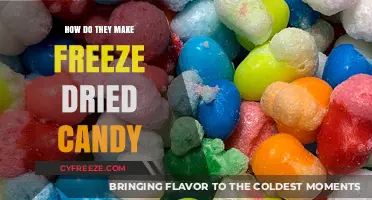From Sugary Delights to Crunchy Bites: The Art of Freeze-Drying Candy