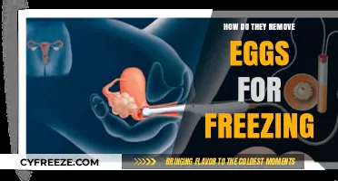 Egg Freezing Process: How Are Eggs Safely Retrieved for Preservation?