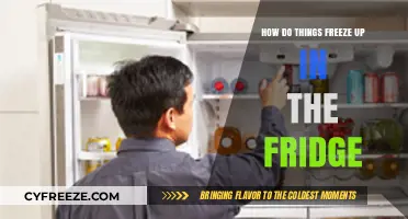 Chill Factor: Understanding How Foods Freeze in Your Fridge