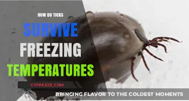Ticks' Winter Survival: How They Endure Freezing Temperatures