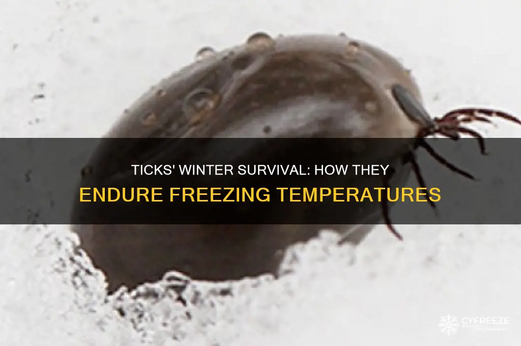 how do ticks survive freezing temperatures