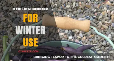 Preserve Your Harvest: A Guide to Freezing Garden Beans for Winter
