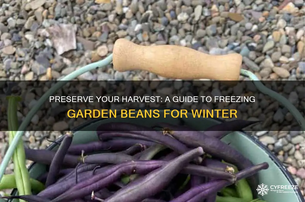 how do u freeze garden beans for winter use