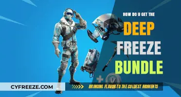 Unlocking the Deep Freeze Bundle: A Step-by-Step Guide to Claiming It