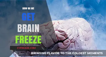 Understanding Brain Freeze: Causes, Science, and Quick Relief Tips