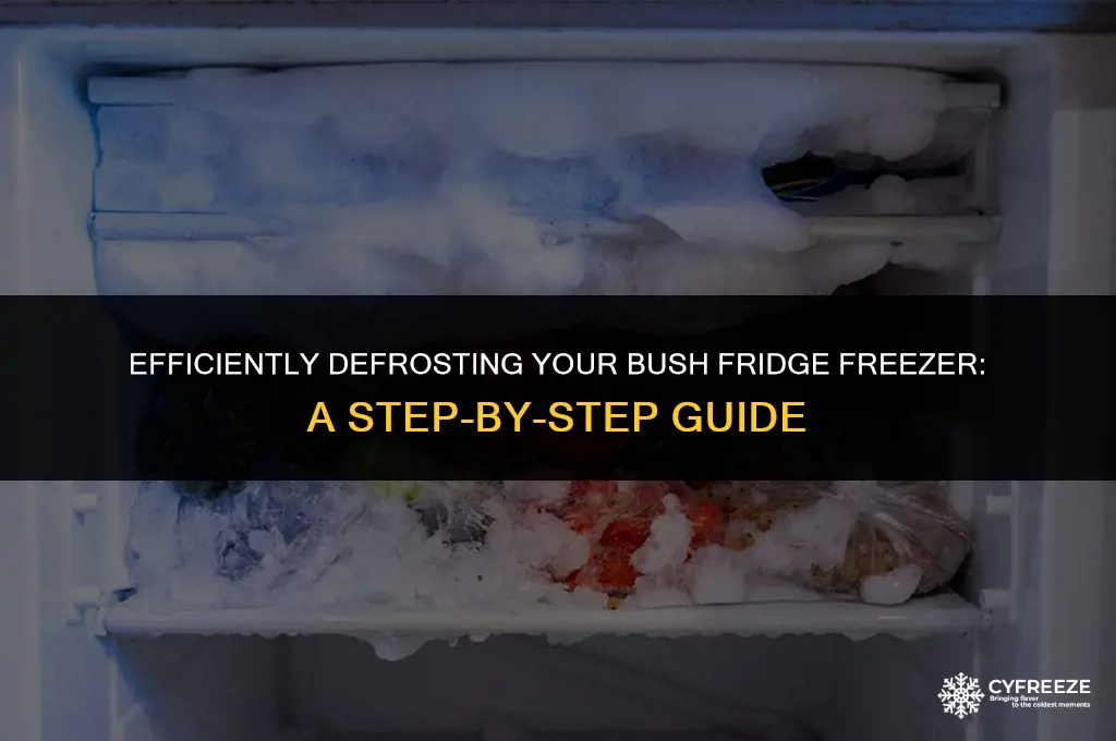 how do you defrost a bush fridge freezer