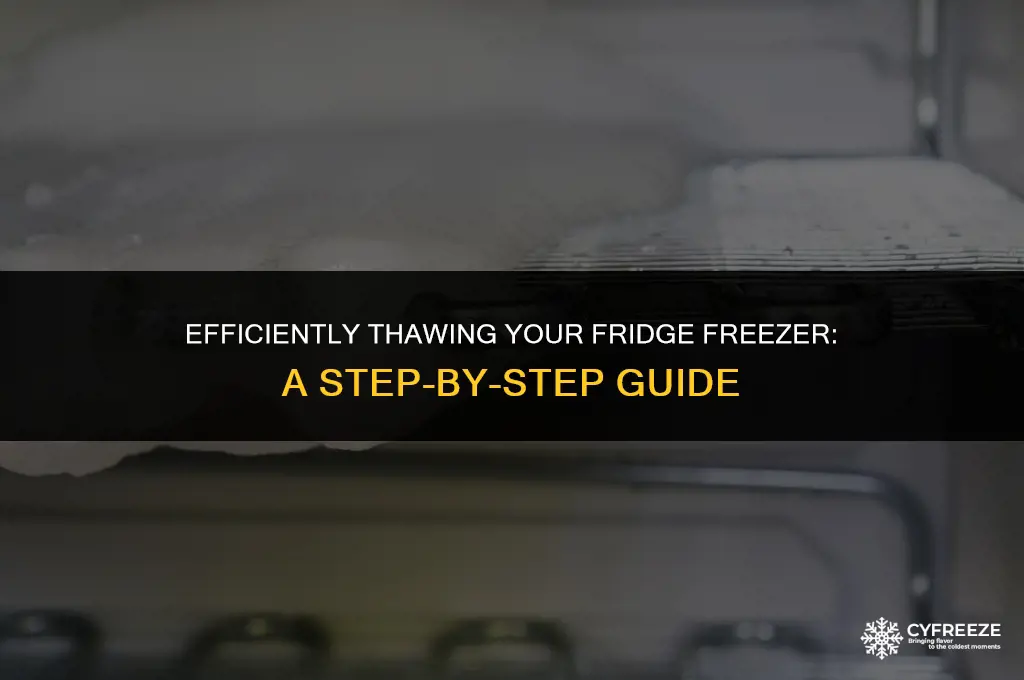 how do you defrost a fridge freezer