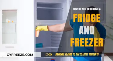 Freshen Up Your Fridge: A Guide to Deodorizing and Revitalizing Your Refrigerator and Freezer