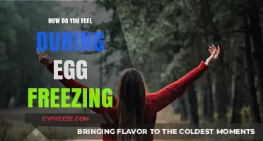 Emotional Journey of Egg Freezing: Feelings, Fears, and Empowerment