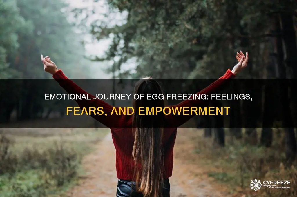 how do you feel during egg freezing