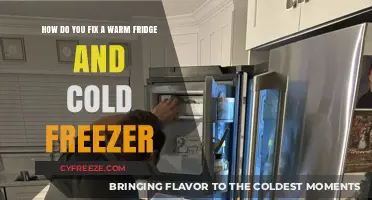 Chill Solutions: Troubleshooting Your Fridge and Freezer Temperature Woes