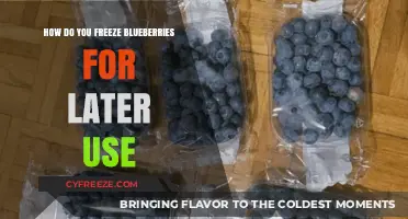 Easy Guide to Freezing Blueberries for Freshness and Longevity