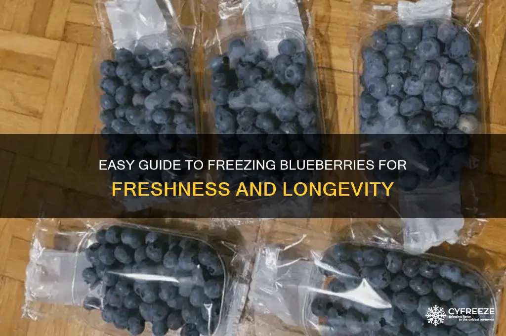 how do you freeze blueberries for later use